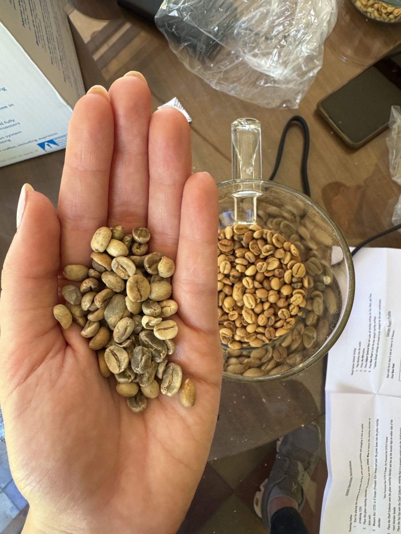 A hand holding green coffee beans beside a cup of roasted beans