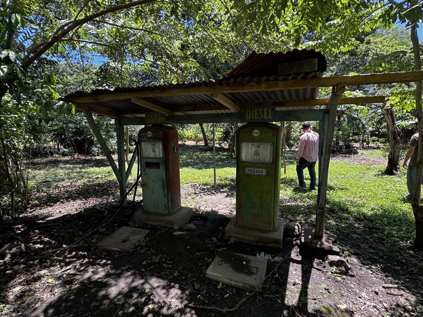 Las viejas bombas de combustible Texaco de la finca, gasolina y diésel, bajo un techo de lámina entre los árboles